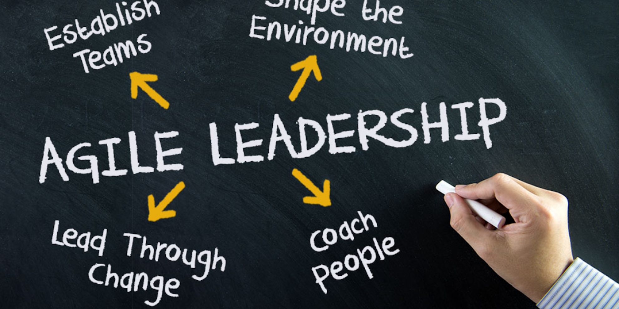 Agile leadership, transformatie, organisatie ontwikkeling - Conclusion Consulting